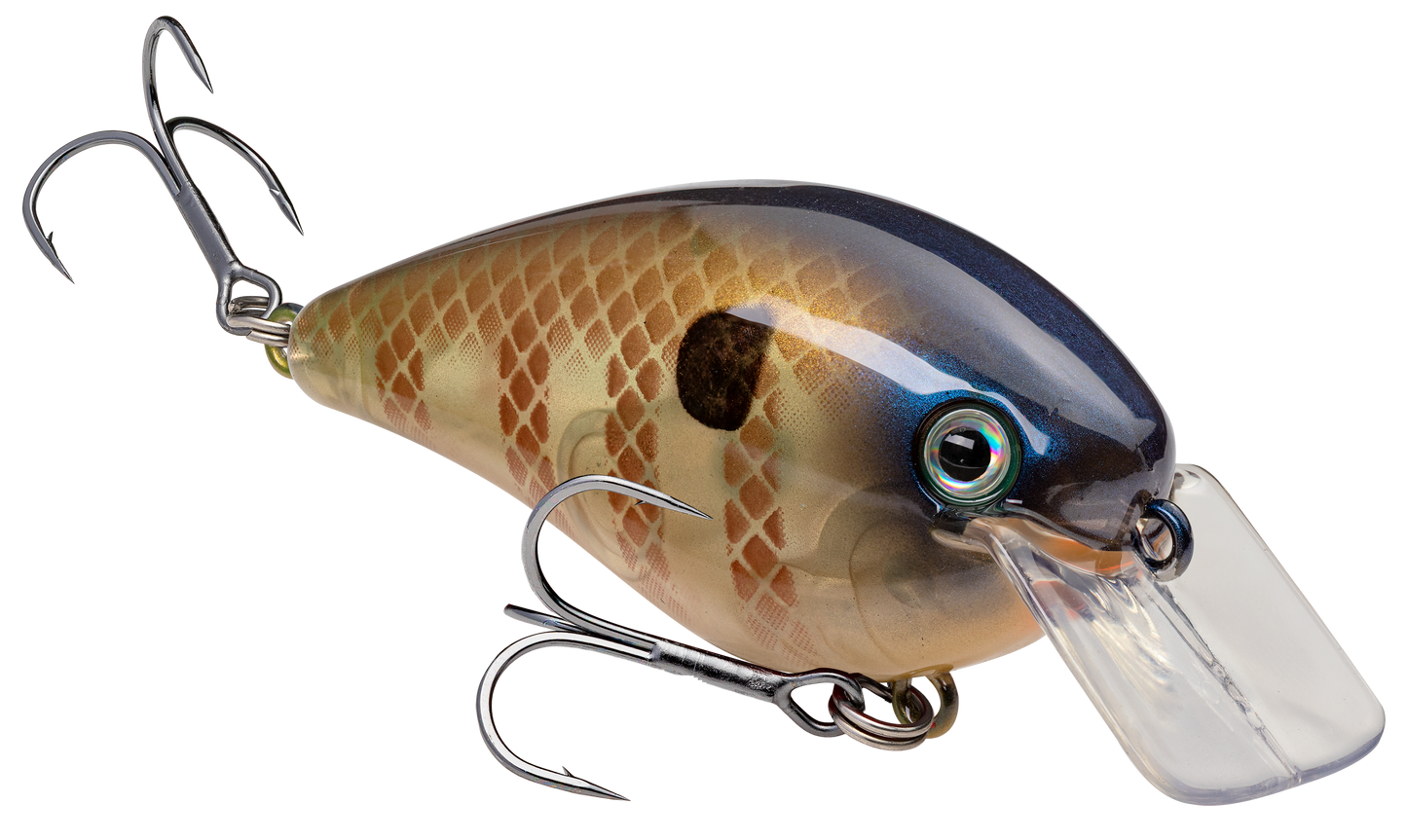 Strike King KVD Square Bill 1.5 Hard Knock Crankbait