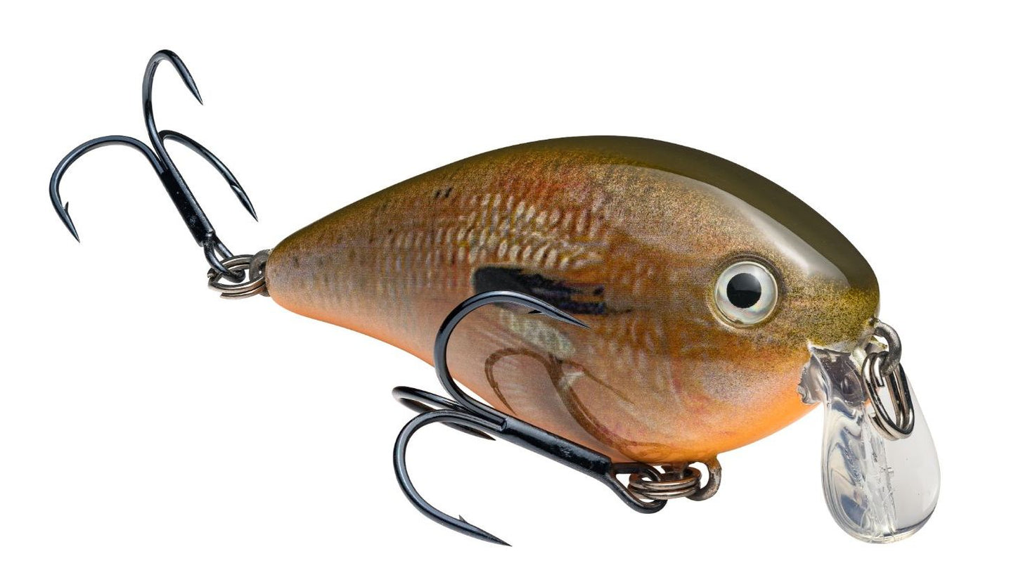 Strike King KVD Square Bill 1.5 Shallow Silent Crankbait