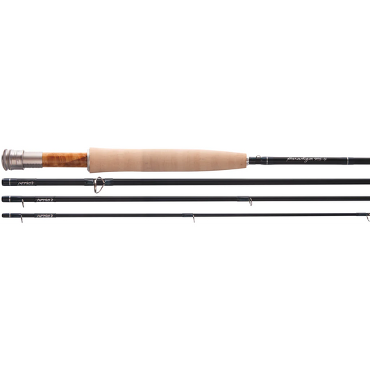 Thomas & Thomas Paradigm Fly Rod