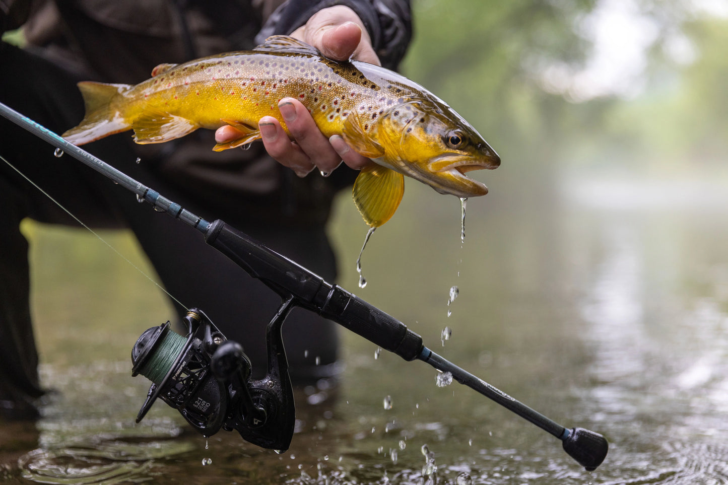 St. Croix Trout Series Spinning Rods