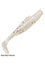 Zman DieZel MinnowZ Swimbait - 7 Inch