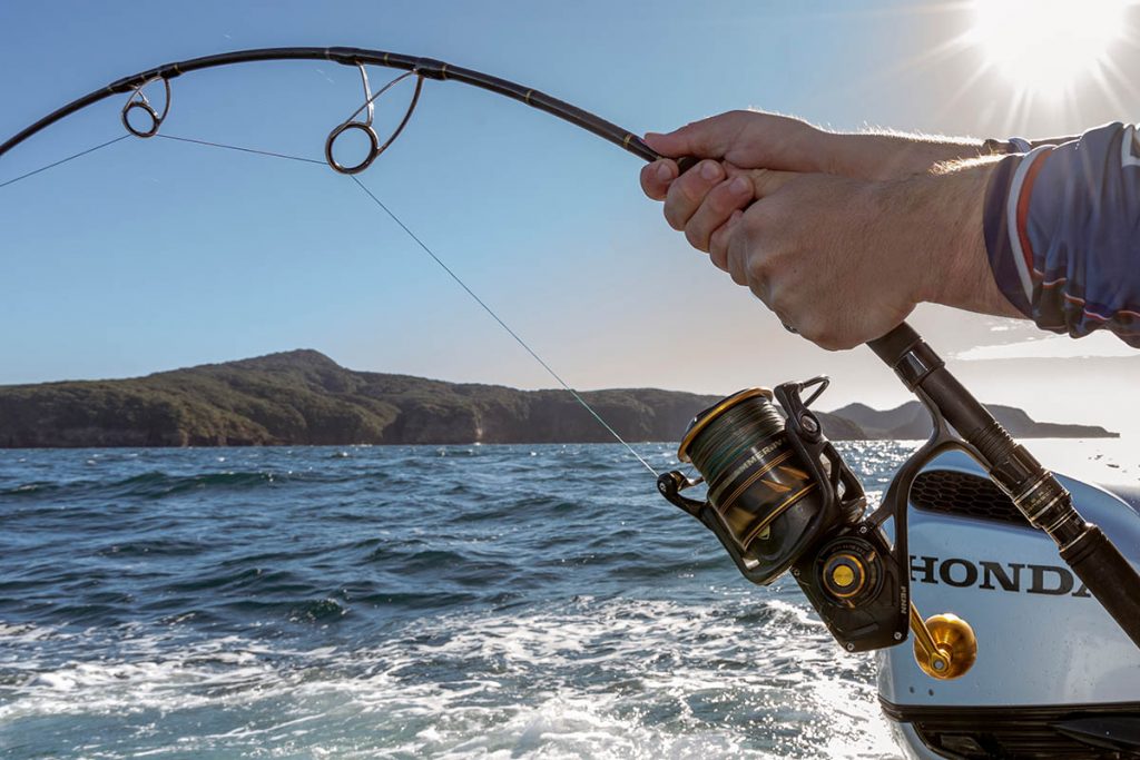Penn Ocean Assassin Spinning Rod