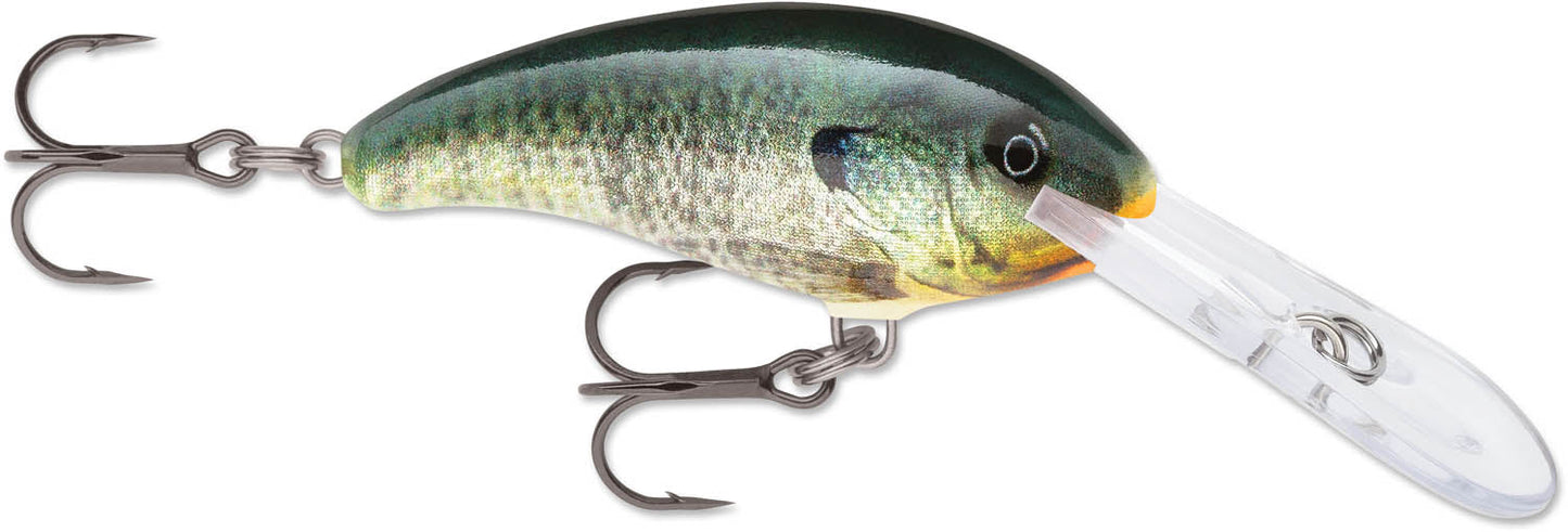 Rapala Shad Dancer SDD05 Medium Diving Crankbait