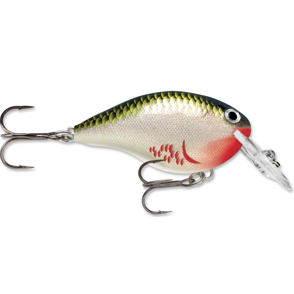 Rapala DT Series Crankbait DT4