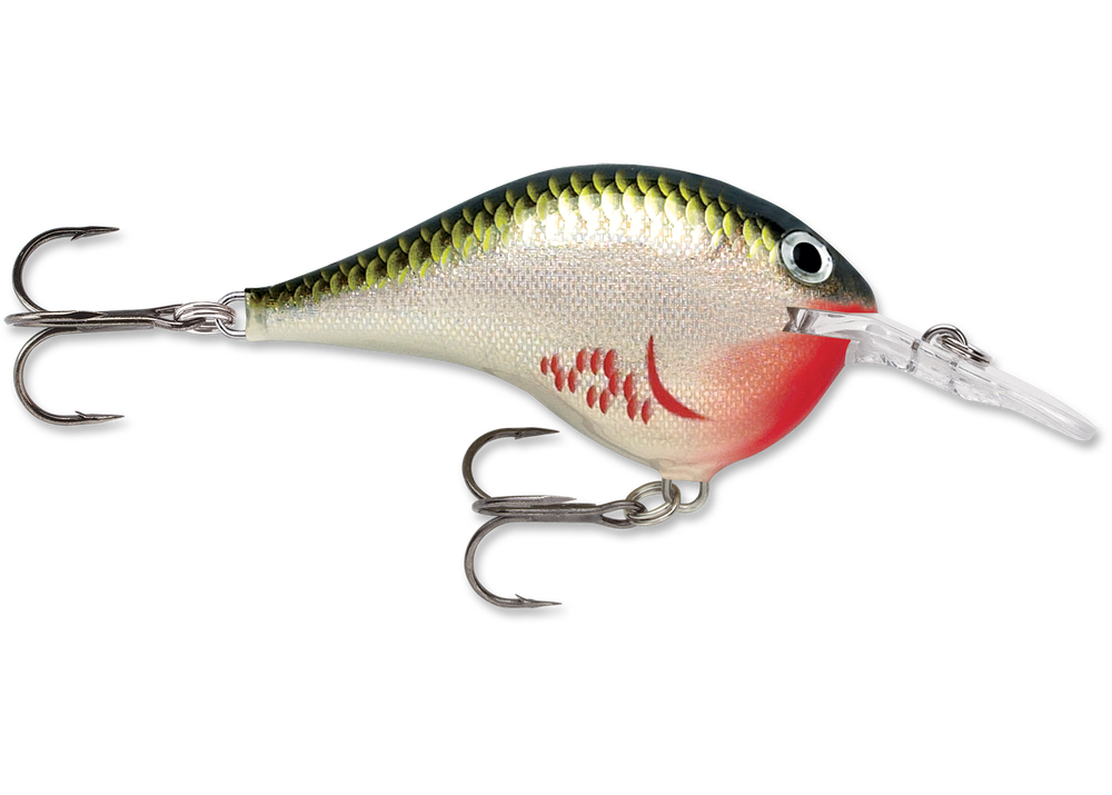 Rapala DT Series Crankbait DT6