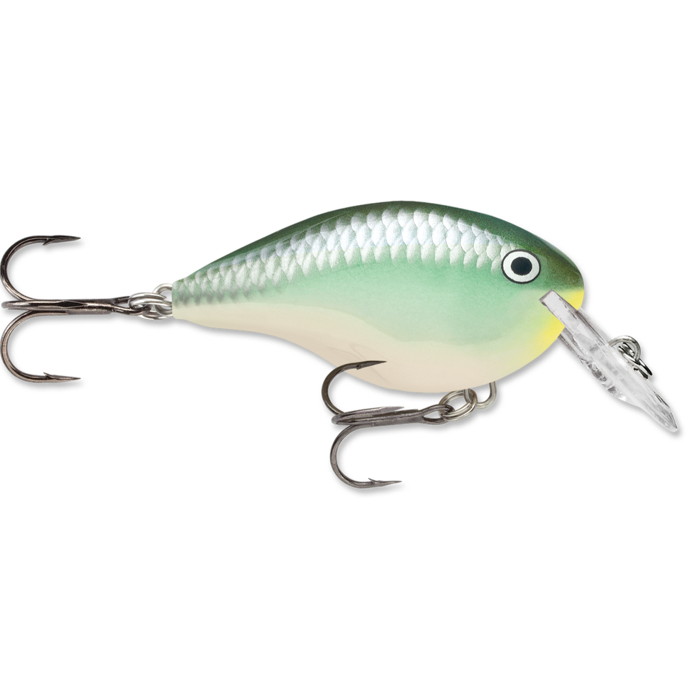 Rapala DT Series Crankbait DT4