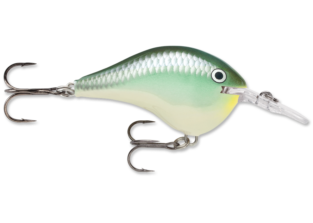 Rapala DT Series Crankbait DT6