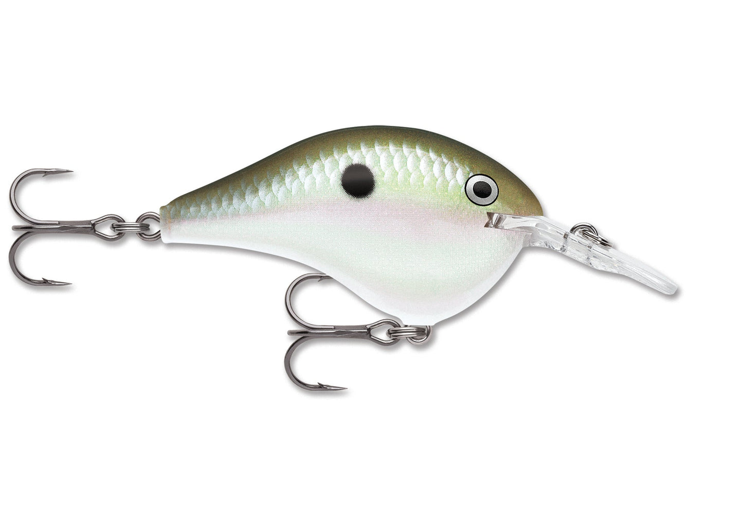 Rapala DT Series Crankbait DT6