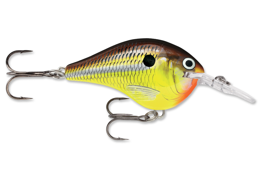 Rapala DT Series Crankbait DT6