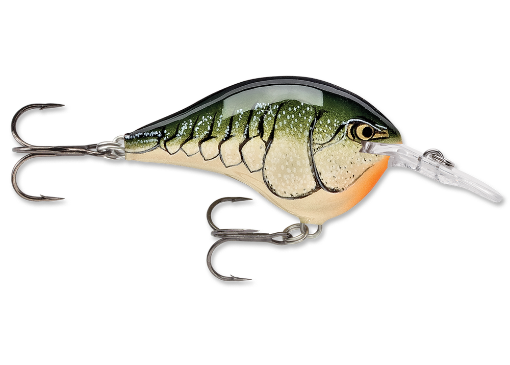 Rapala DT Series Crankbait DT6