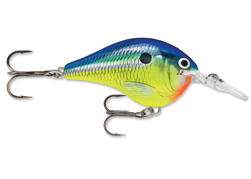 Rapala DT Series Crankbait DT6