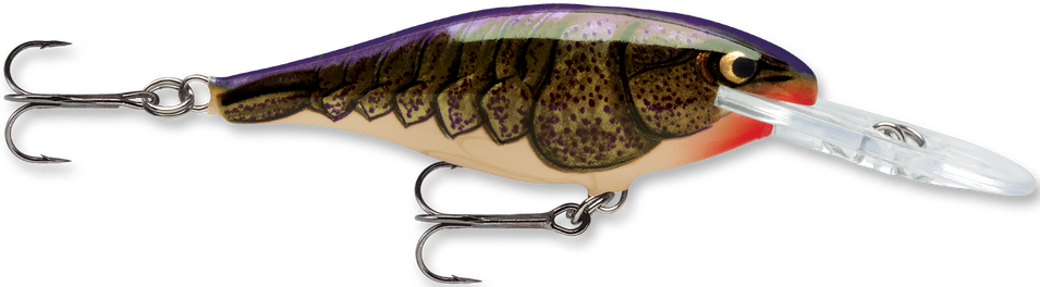 Rapala Shad Rap 2 3/4 inch Medium Diving Crankbait SR07