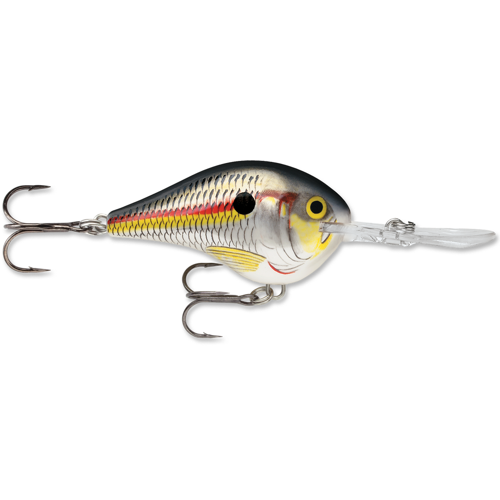 Rapala DT Series Crankbait DT10