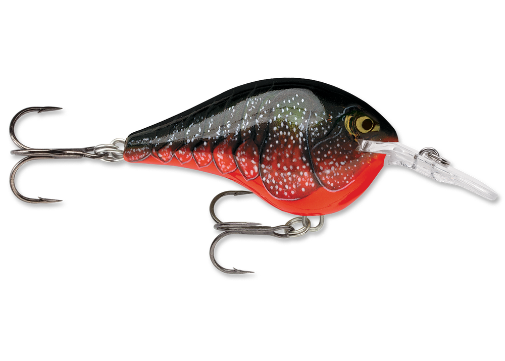 Rapala DT Series Crankbait DT6