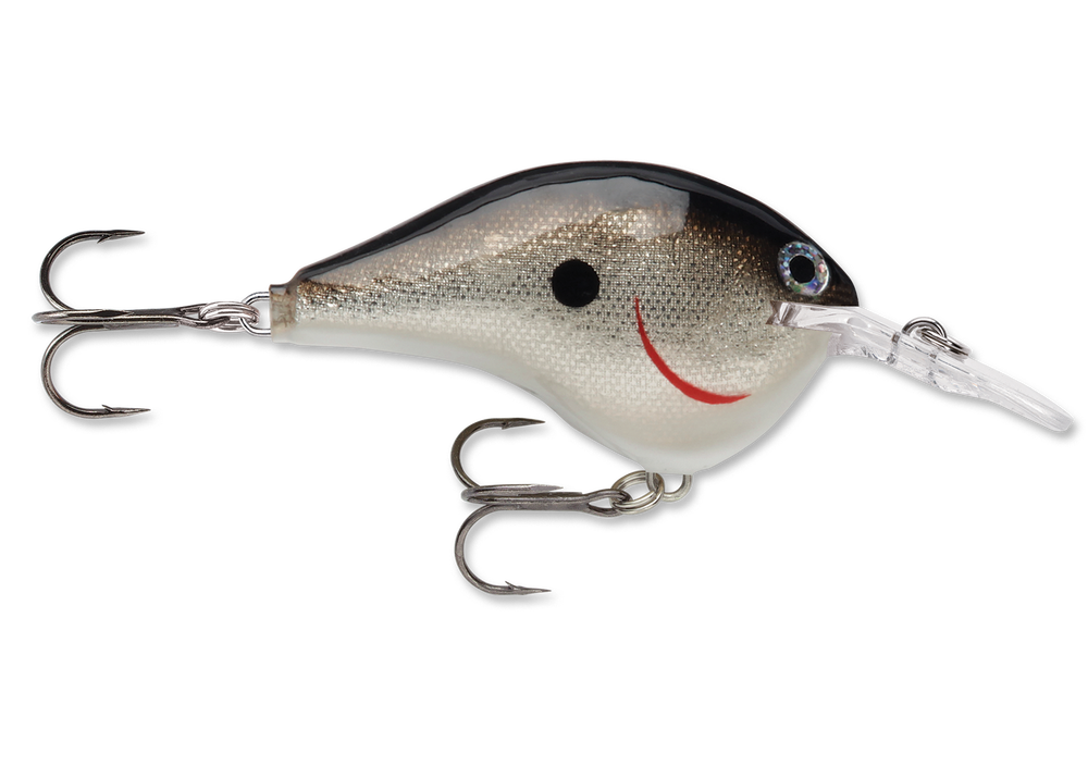 Rapala DT Series Crankbait DT6