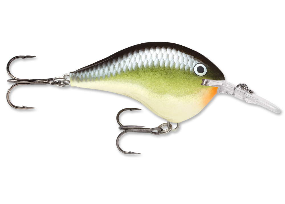 Rapala DT Series Crankbait DT6