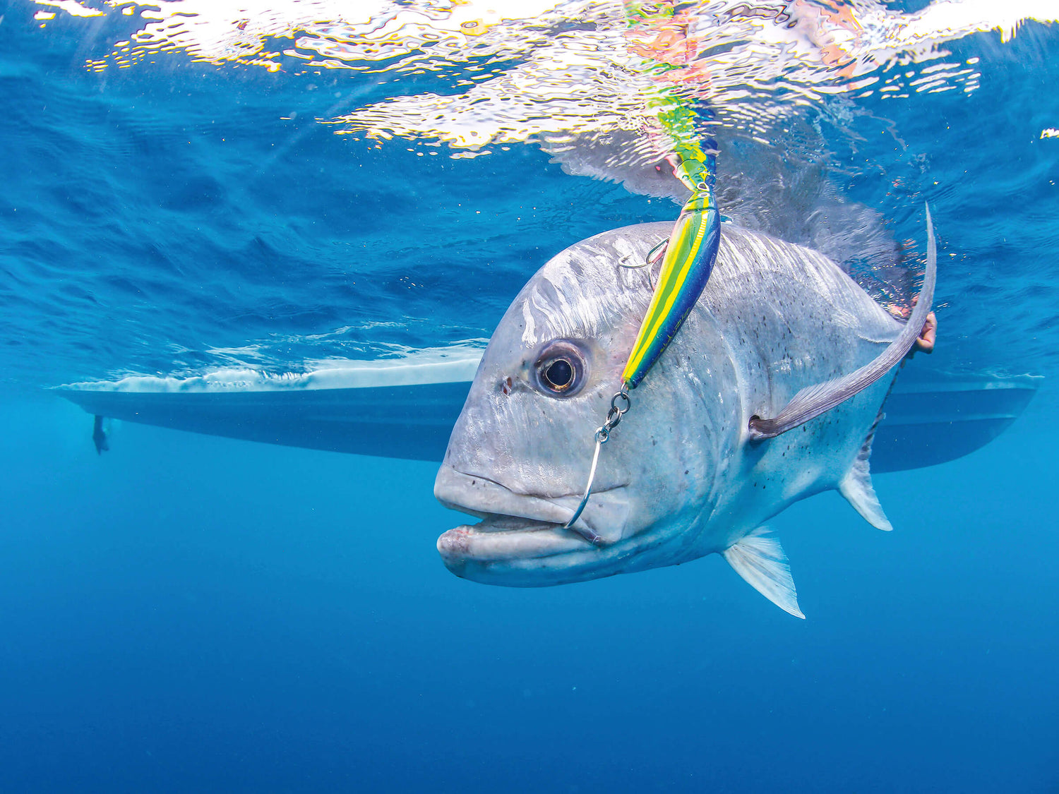 Kentackle - Giant Trevally on Lure