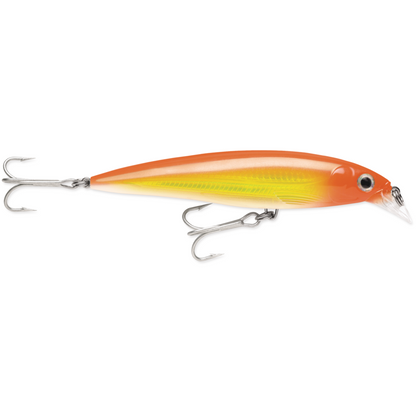 Rapala X-Rap Saltwater Rip Bait SXR08