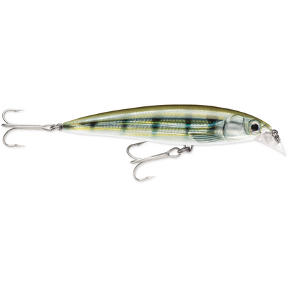 Rapala X-Rap Saltwater Rip Bait SXR08