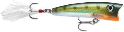 Rapala X-Rap Pop 07 Popper