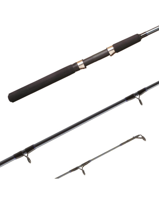 Shimano FX Spinning Rod