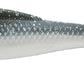 Z-Man MinnowZ 3 inch Soft Plastic Paddle Tail Swimbait 6 pack