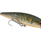 Strike King KVD 200 Series 4 1/2 inch Suspending Medium Jerkbait
