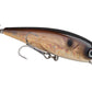 Strike King KVD 200 Series 4 1/2 inch Suspending Medium Jerkbait