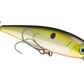 Strike King KVD 200 Series 4 1/2 inch Suspending Medium Jerkbait