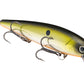 Strike King KVD 300 Series 4 3/4 inch Suspending Medium Jerkbait