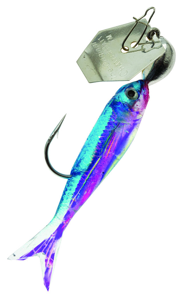 Z-Man ChatterBait FlashBack Mini