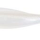Z-Man DieZel MinnowZ 7 inch Paddle Tail Swimbait 3 pack