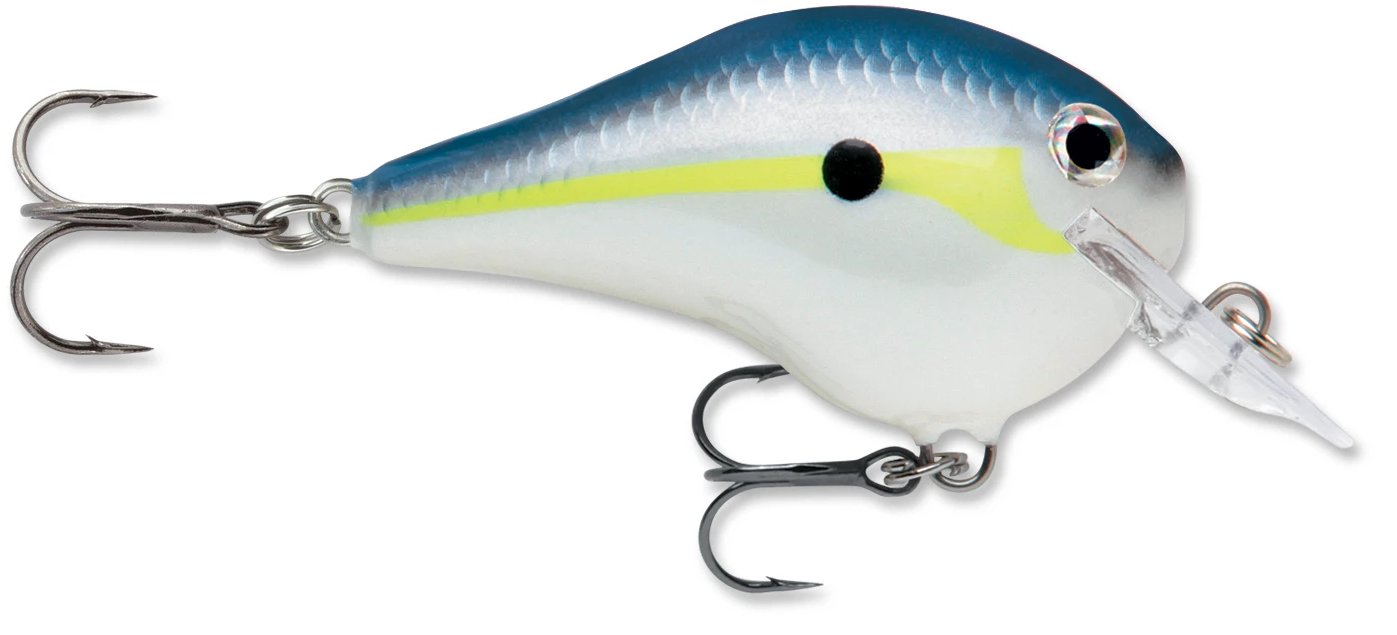 Rapala DT Fat 03 Shallow Square Bill Crankbait