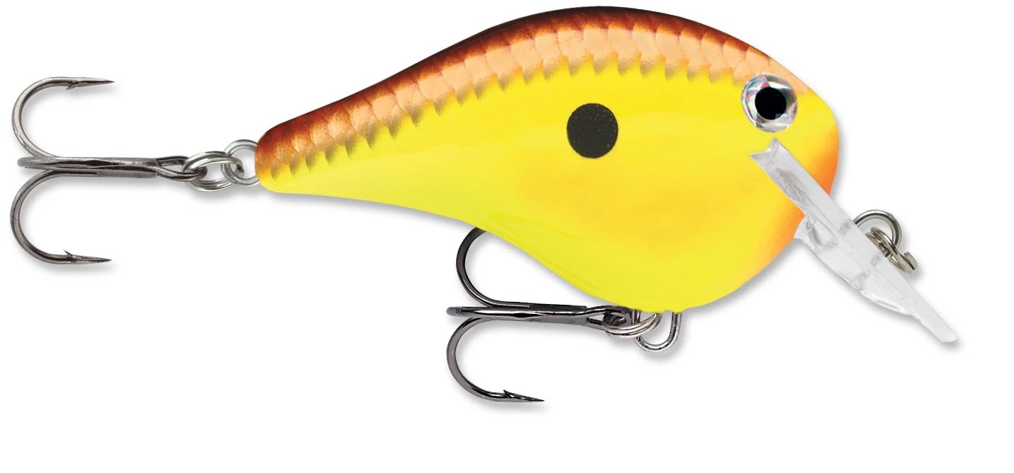 Rapala DT Fat 03 Shallow Square Bill Crankbait