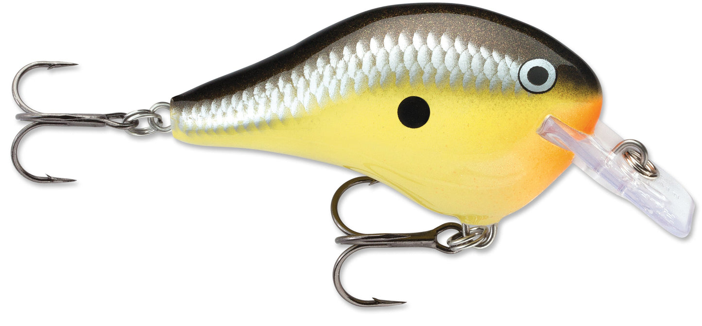 Rapala DT Fat 03 Shallow Square Bill Crankbait