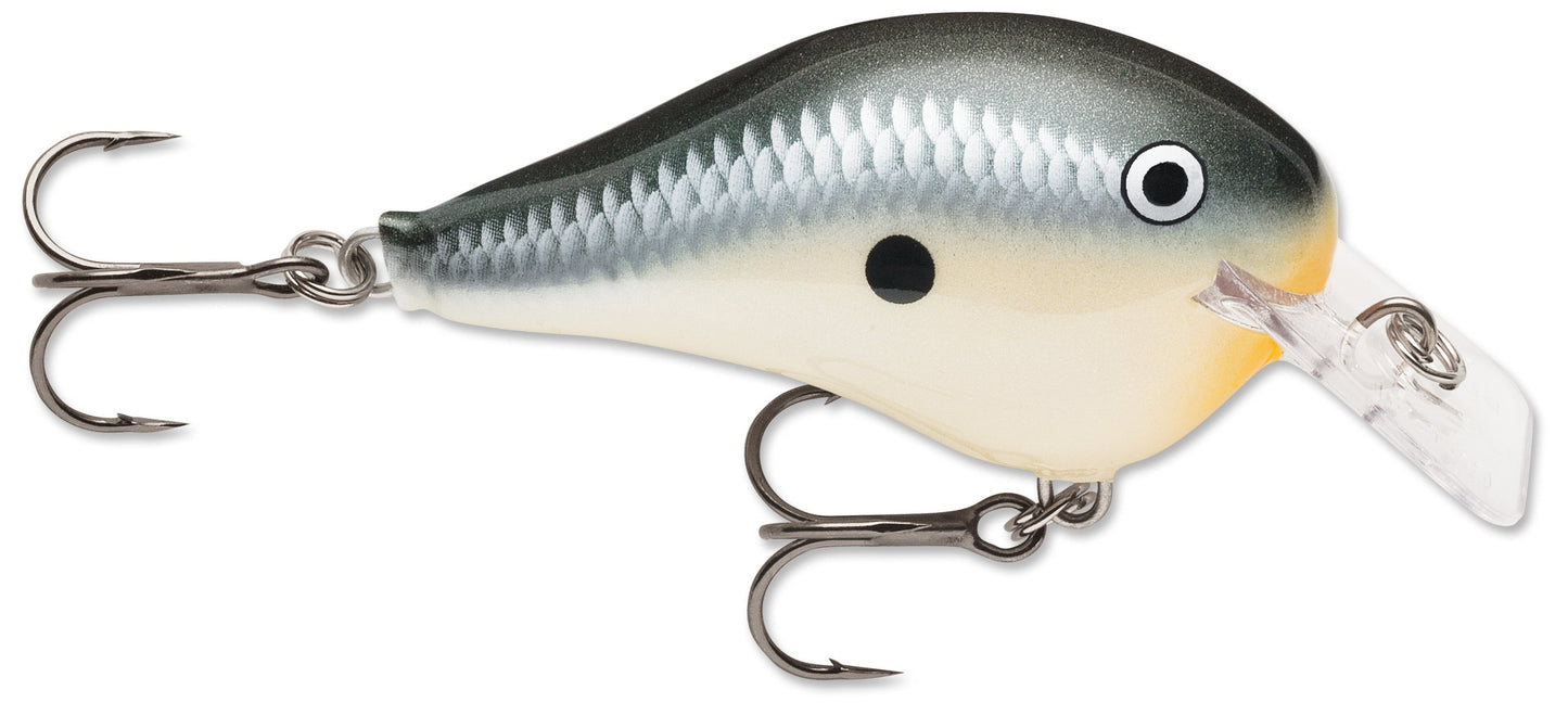 Rapala DT Fat 03 Shallow Square Bill Crankbait