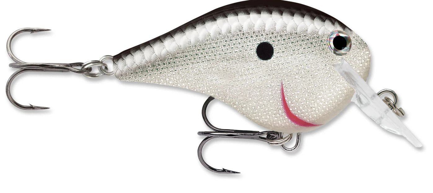 Rapala DT Fat 03 Shallow Square Bill Crankbait