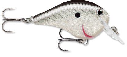 Rapala DT Fat 03 Shallow Square Bill Crankbait