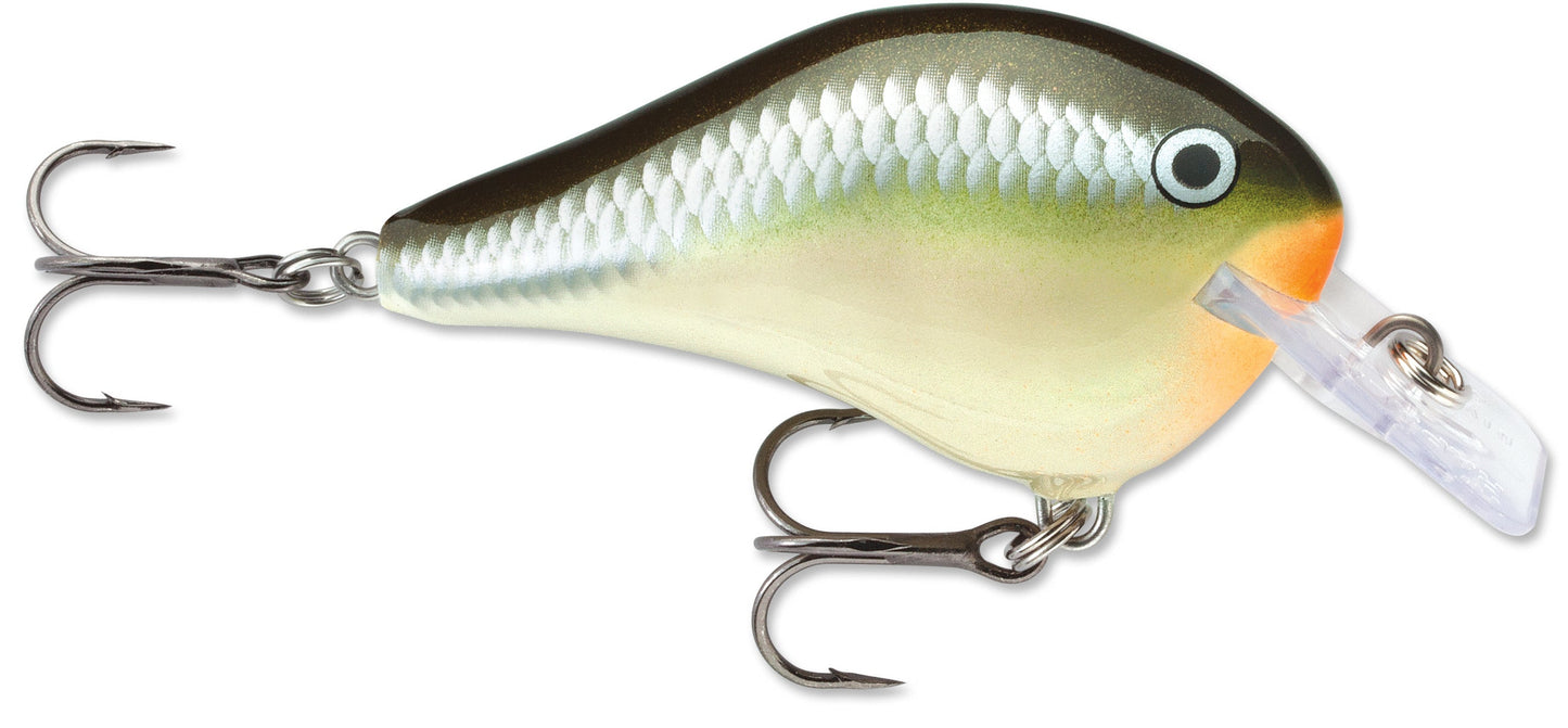 Rapala DT Fat 03 Shallow Square Bill Crankbait