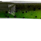 Gary Yamamoto Swim Senko 5 1/2 inch Paddle Tail Worm 7 pack