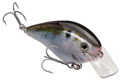 Strike King KVD Square Bill 1.5 Hard Knock Crankbait