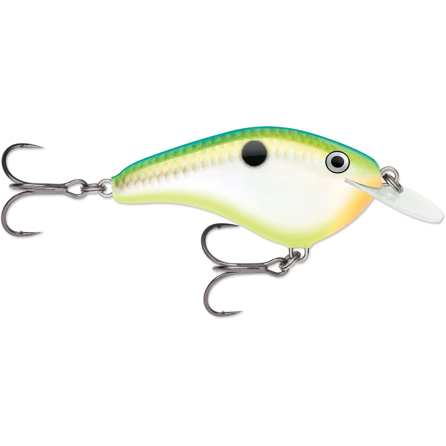 Rapala OG Slim 06 Medium Diving Flat-Sided Crankbait