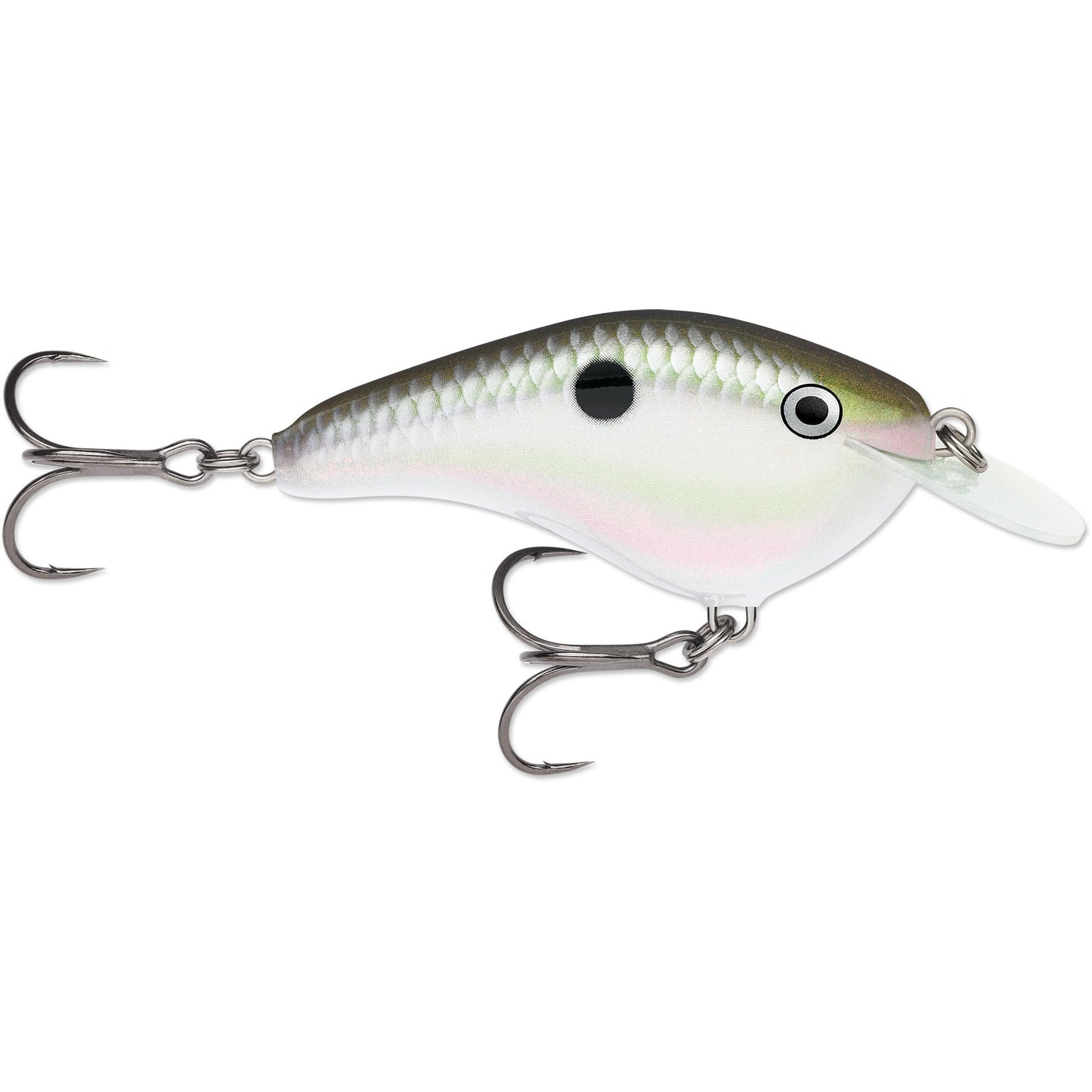 Rapala OG Slim 06 Medium Diving Flat-Sided Crankbait