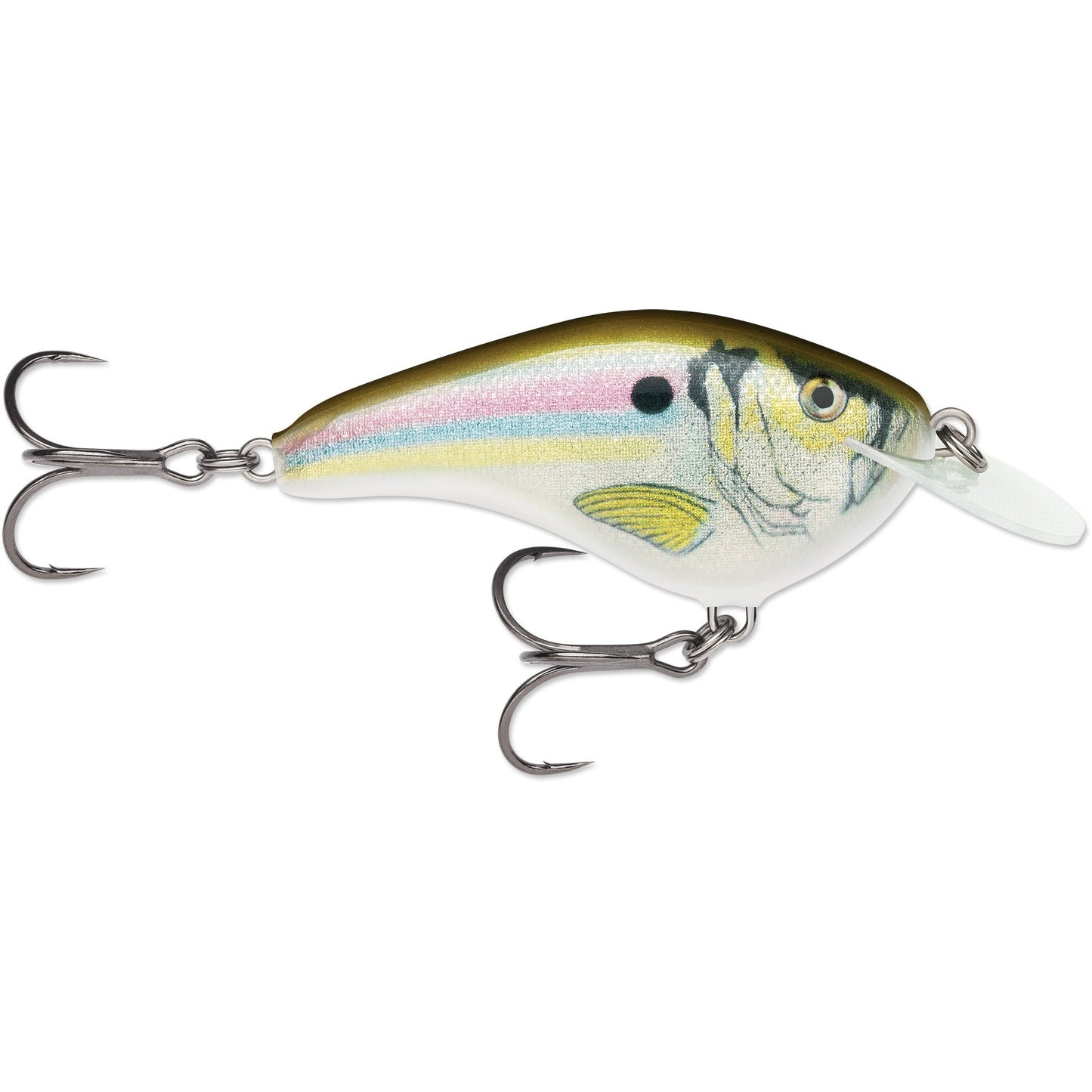 Rapala OG Slim 06 Medium Diving Flat-Sided Crankbait