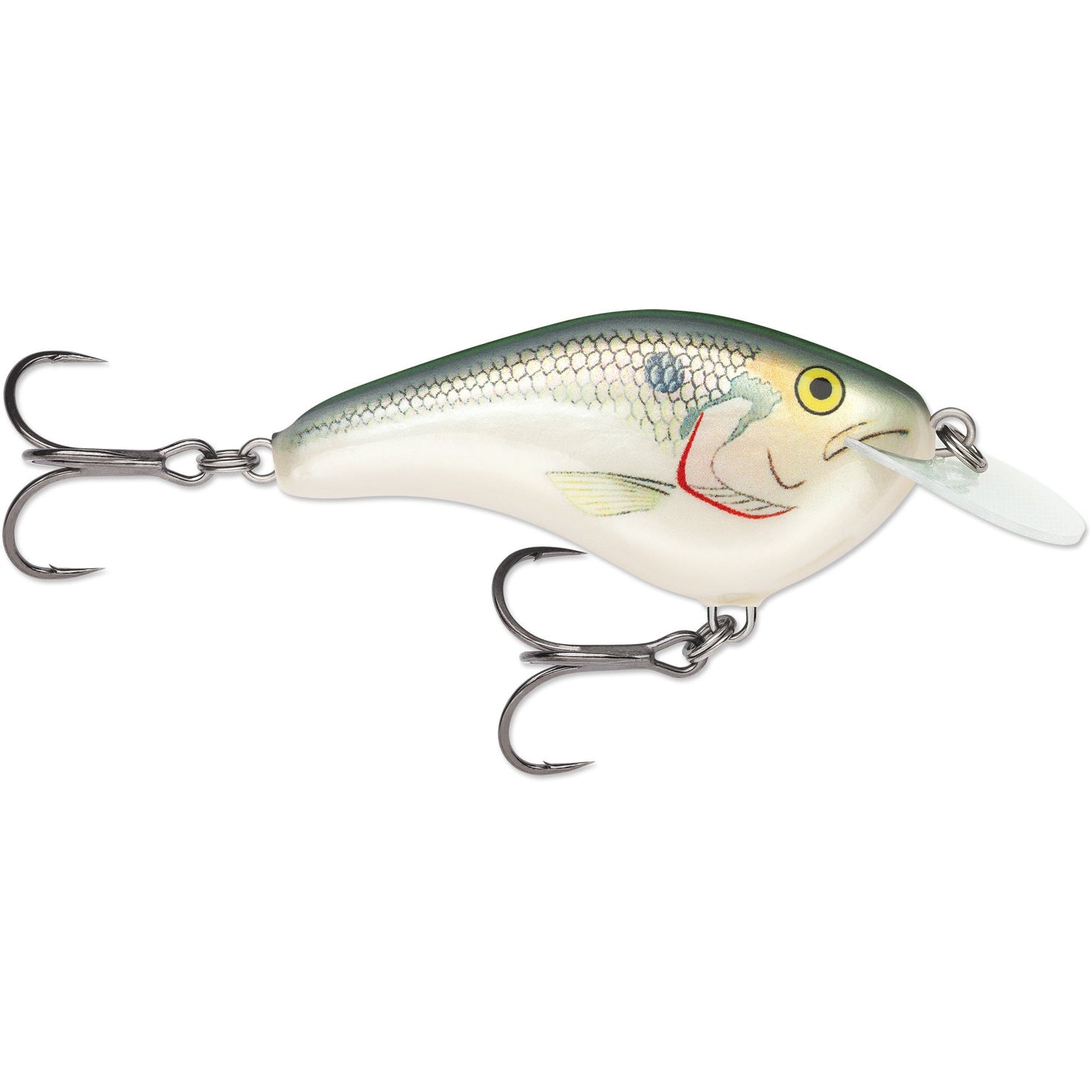 Rapala OG Slim 06 Medium Diving Flat-Sided Crankbait