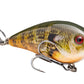 Strike King KVD Square Bill 1.5 Shallow Silent Crankbait