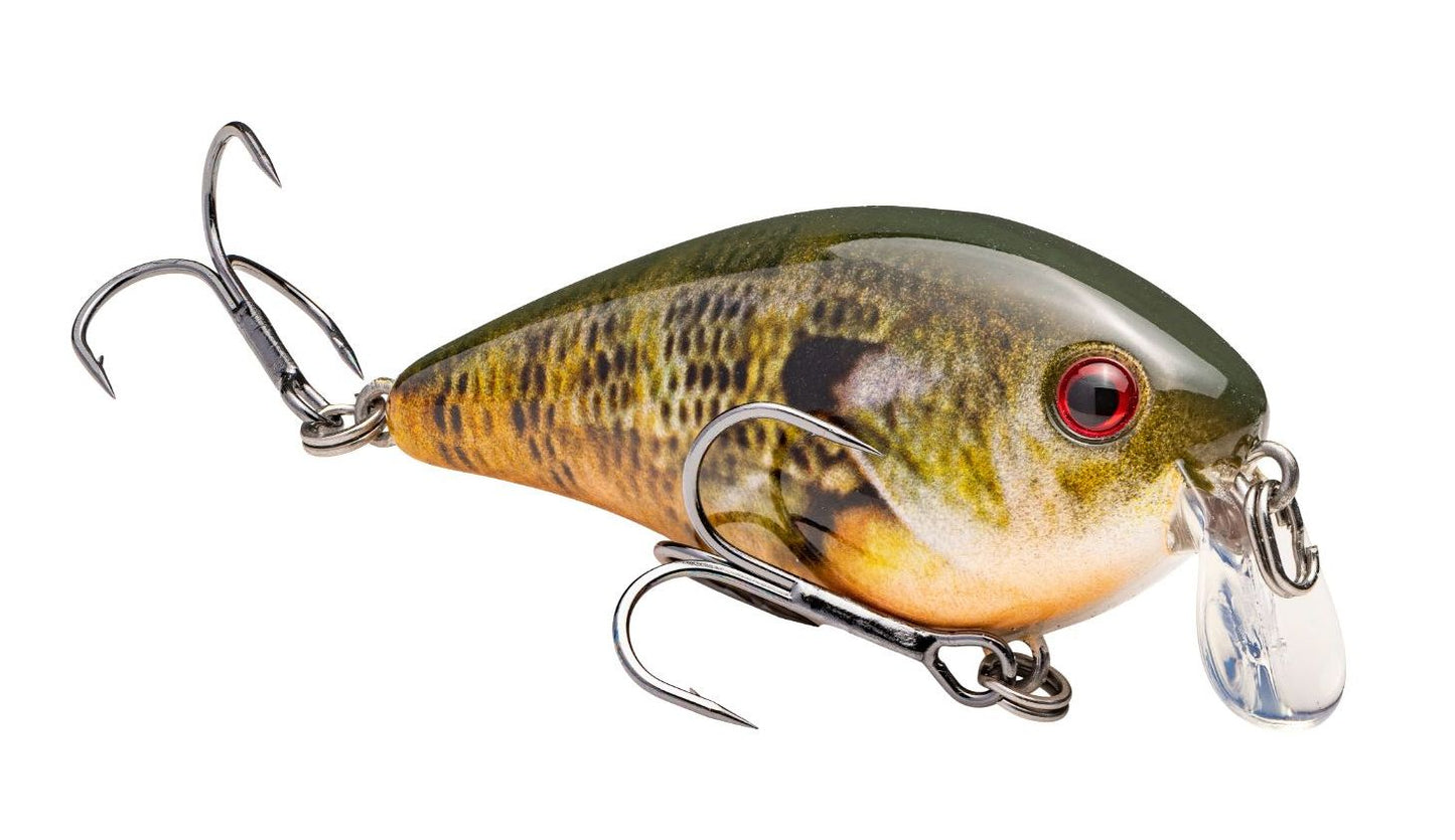 Strike King KVD Square Bill 1.5 Shallow Silent Crankbait