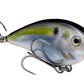 Strike King KVD Square Bill 1.5 Shallow Silent Crankbait