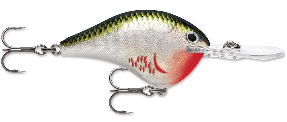 Rapala DT Series Crankbait DT8