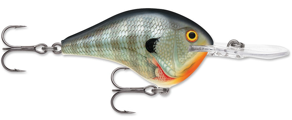 Rapala DT Series Crankbait DT8